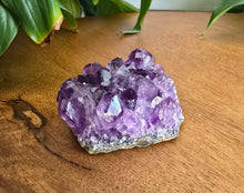 Load image into Gallery viewer, Natural Amethyst cluster with purple crystal formations