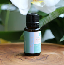 Load image into Gallery viewer, Essential Oil Blend Bundle