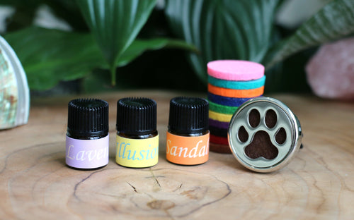 Car Sample Pack