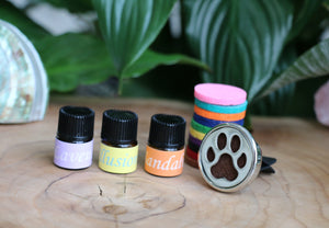 Car Sample Pack