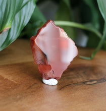 Load image into Gallery viewer, Natural Carnelian slab with rich orange and red polished surface