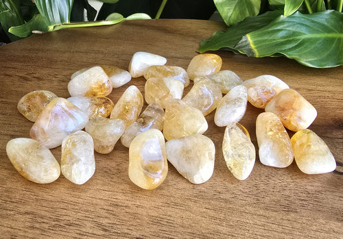 Citrine (A Grade) Tumble Stone - Small - Each