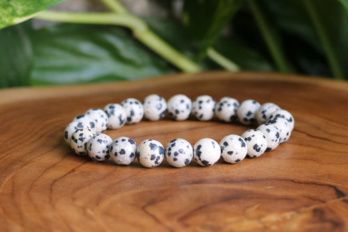 Dalmatian Jasper Bracelet - 8mm