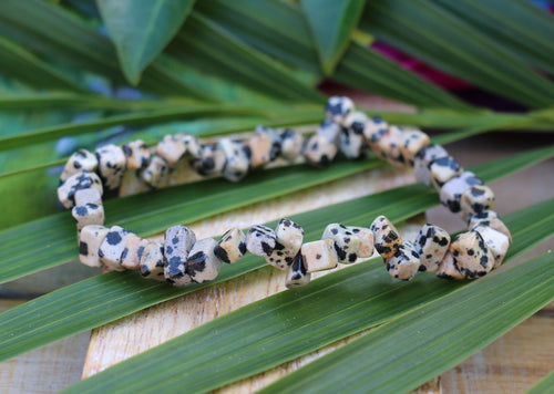 Dalmatian Jasper Chip Bracelet