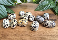 Load image into Gallery viewer, Dalmatian Jasper Tumble Stone - Small - Each