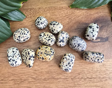Load image into Gallery viewer, Dalmatian Jasper Tumble Stone - Small - Each