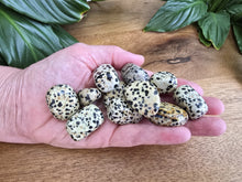 Load image into Gallery viewer, Dalmatian Jasper Tumble Stone - Small - Each