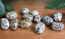 Load image into Gallery viewer, Dalmatian Jasper Tumble Stone - Small - Each