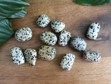 Load image into Gallery viewer, Dalmatian Jasper Tumble Stone - Small - Each