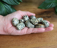 Load image into Gallery viewer, Dalmatian Jasper Tumble Stone - Small - Each