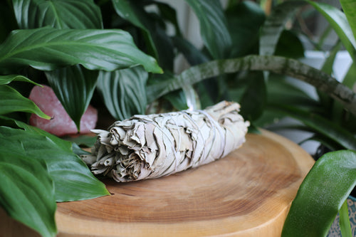 White Sage Smudge Stick Wrap - Medium