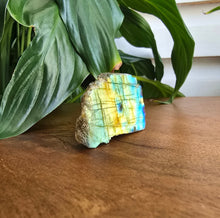Load image into Gallery viewer, Natural Labradorite slab with blue green orange and yellow flash and polished surface