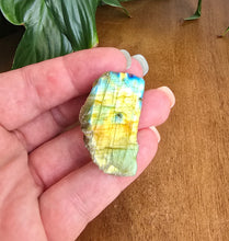 Load image into Gallery viewer, Holding Natural Labradorite slab with blue green orange and yellow flash and polished surface