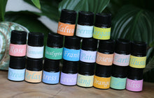 Load image into Gallery viewer, Essential Oil Sample Minions