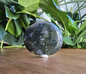 Moss Agate Worry Stone