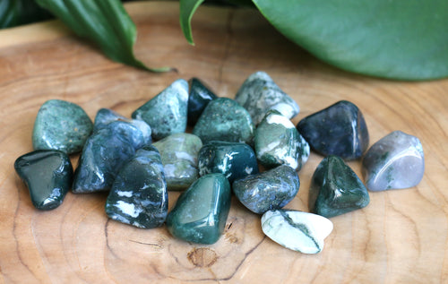 Moss Agate Tumble Stone - Small - Each