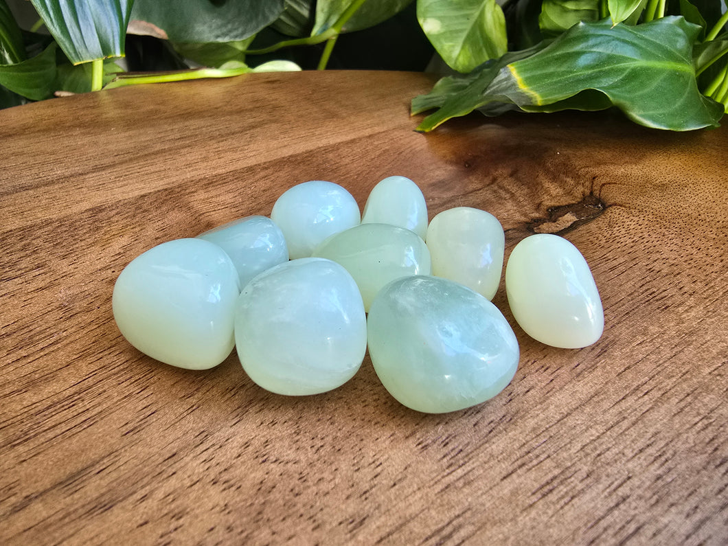 New Jade Tumble Stone - Small - Each