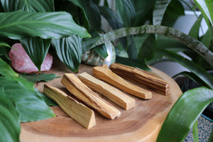 Palo Santo Smudge Stick - Thin - Each