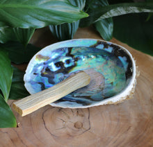 Load image into Gallery viewer, Natural Abalone Shell - Unpolished