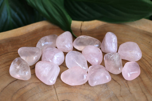 Rose Quartz Tumble Stone - Small - Each