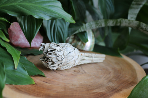 White Sage Smudge Stick - Small
