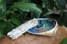 Load image into Gallery viewer, Natural Abalone Shell - Unpolished