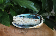 Load image into Gallery viewer, Natural Abalone Shell - Unpolished