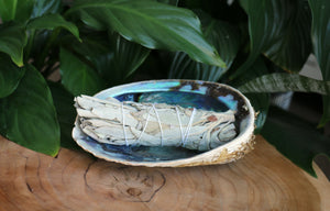 Natural Abalone Shell - Unpolished