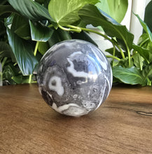 Load image into Gallery viewer, Shell Jasper Sphere