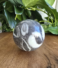 Load image into Gallery viewer, Shell Jasper Sphere