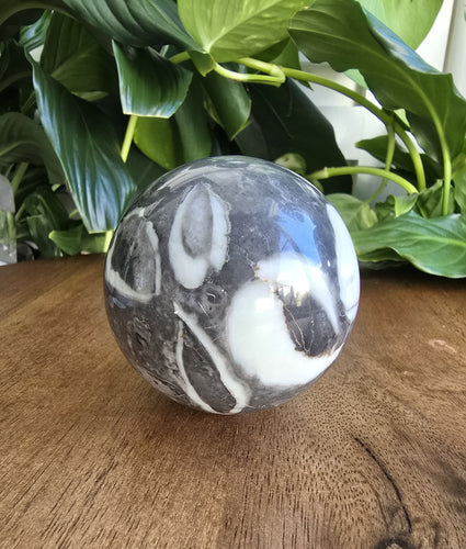 Shell Jasper Sphere