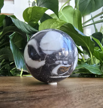 Load image into Gallery viewer, Shell Jasper Sphere