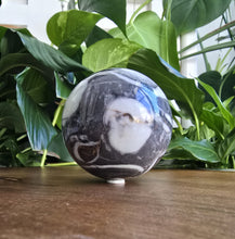 Load image into Gallery viewer, Shell Jasper Sphere