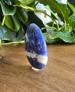 Sodalite Worry Stone