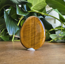 Load image into Gallery viewer, Tiger Eye Worry Stone