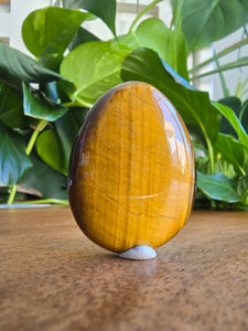 Tiger Eye Worry Stone