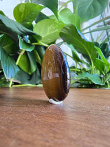 Tiger Eye Worry Stone