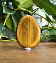 Load image into Gallery viewer, Tiger Eye Worry Stone