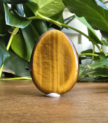 Tiger Eye Worry Stone