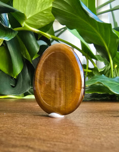 Tiger Eye Worry Stone