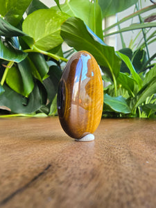 Tiger Eye Worry Stone