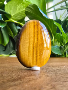 Tiger Eye Worry Stone