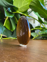 Load image into Gallery viewer, Tiger Eye Worry Stone