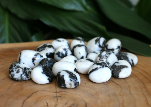 Zebra Jasper Tumble Stone - Small - Each